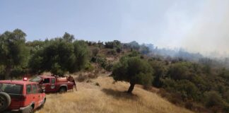 Χαλκιδική: “Καμπάνες” από την Π.Υ. – Ασυνείδητοι παίζουν με τη φωτιά