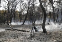 Η Ελλάδα ξέμεινε από οξυγόνο