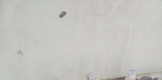 Θεσσαλονίκη: Βρήκαν μολότοφ μέσα σε κάδο σχολείου