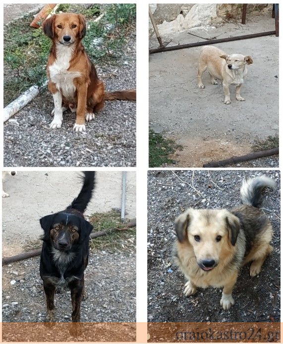 Στιγμιότυπο οθόνης 2021-09-13 105558