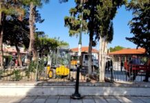 Ωραιόκαστρο: Εν ώρα σχολείου απομακρύνονται τα κλαδιά απο τον αύλειο χώρο