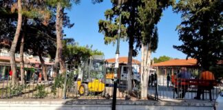 Ωραιόκαστρο: Εν ώρα σχολείου απομακρύνονται τα κλαδιά απο τον αύλειο χώρο