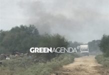 Θεσσαλονίκη: Διοξίνες και φουράνια από την παράνομη καύση καλωδίων στον προστατευόμενο Γαλλικό