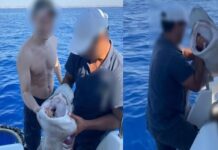 Σοκαριστική κακοποίηση καρχαρία στην Κύπρο: Τον έπιασαν από τα βράγχια και έβγαζαν σέλφι, βίντεο