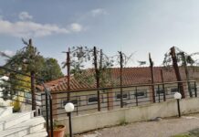 Ωραιόκαστρο :Καταγγελία – Κατέστρεψαν δέντρα σε σχολείο – Η απάντηση του προέδρου