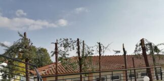 Ωραιόκαστρο :Καταγγελία – Κατέστρεψαν δέντρα σε σχολείο – Η απάντηση του προέδρου