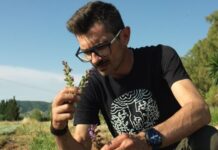 Ελληνικά βότανα σε κάψουλες εσπρέσο – Η start up ιδέα που βραβεύτηκε