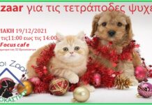 Ωραιόκαστρο: Bazaar για να γίνουν στειρώσεις απο την Φιλοζωική