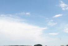 1 χιλιόμετρο μπάζα στη δυτική Θεσσαλονίκη – Τριτοκοσμικές εικόνες