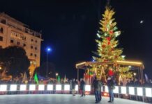 Θεσσαλονίκη: Χριστουγεννιάτικη μαγεία στην πλατεία Αριστοτέλους – Έλατο 18 μέτρων και χιλιάδες λαμπιόνια (βίντεο & φωτ.)
