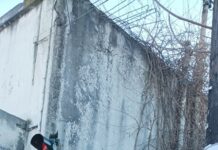 Ωραιόκαστρο: Ανέλαβαν τις ευθύνες τους οι υπεύθυνοι και διαλύθηκε η αγέλη σκύλων έξω απο δημοτικό της Λητής