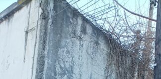 Ωραιόκαστρο: Ανέλαβαν τις ευθύνες τους οι υπεύθυνοι και διαλύθηκε η αγέλη σκύλων έξω απο δημοτικό της Λητής