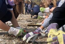 5.360 Έλληνες μάζεψαν 19,5 τόνους σκουπίδια από ακτές