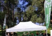 Το έλαμψαν το Σέιχ Σου οι “Φίλοι του Δάσους”