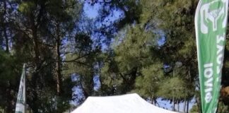 Το έλαμψαν το Σέιχ Σου οι “Φίλοι του Δάσους”