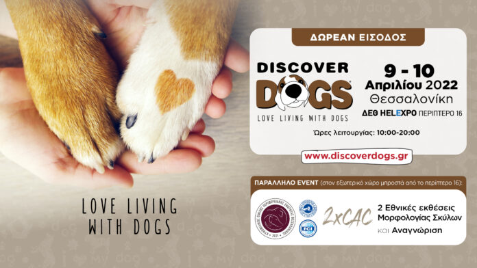 discover dogs6.jpg.png