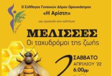 Ωραιόκαστρο: Η “Αρίστη” ΄φέρνει τις ΜΕΛΙΣΣΕΣ, οι ταχυδρόμοι της ζωής