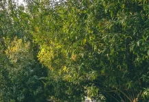 Θες μια κοντινή ημερήσια εκδρομή; Κοντινές εκδρομές απο Θεσσαλονίκη