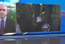 Λέων : Οι πνεύμονες της Ίριδας έδειξαν πνιγμό