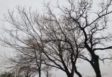 Υποχωρεί η κακοκαιρία “AVGI” – Αναλυτική πρόγνωση