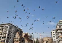 Καιρός: Επανέρχονται οι βοριάδες εως τους 38 ο υδράργυρος
