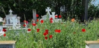 Ωραιόκαστρο: Σε πλήρη εγκατάλειψη τα κοιμητήρια – “Χάθηκαν” στα χόρτα τα μνήματα