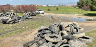 40 τόνους ελαστικά αποκάλυψε η άμπωτη στον Θερμαϊκό – Απομακρύνθηκαν και ανακυκλώνονται