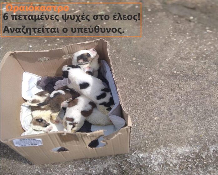 Στιγμιότυπο οθόνης 2022-04-20 183705