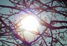 Καιρός Σήμερα : Βοριάδες και τσουχτερό κρύο