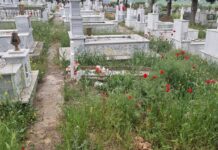 Ωραιόκαστρο: Και στο Μονόλοφο “πνίγηκαν” τα μνήματα στα χόρτα