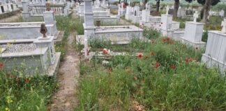 Ωραιόκαστρο: Και στο Μονόλοφο “πνίγηκαν” τα μνήματα στα χόρτα