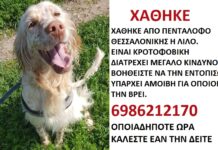 Ωραιόκαστρο: Χάθηκε – Διατρέχει κίνδυνο – Δίνεται αμοιβή
