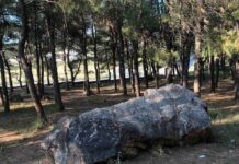 Δράση για τους βράχους των Μετεώρων από τους Φίλους του Δάσους