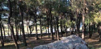Δράση για τους βράχους των Μετεώρων από τους Φίλους του Δάσους