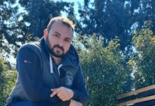 Ας μιλήσουμε για την σπουδαιότητα της εκπαίδευσης σκύλων, μέρος δεύτερο