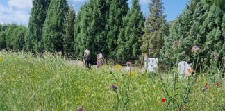 Ωραιόκαστρο: Εκτός τα χόρτα θα τους φάνε και τα φίδια στα κοιμητήρια – “Μπαλάκι” οι ευθύνες