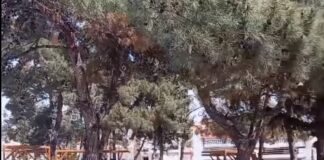 Ωραιόκαστρο: Επεισόδιο στην πλατεία Τζαβέλα – Καλέστηκε και η αστυνομία