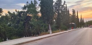 Απομακρύνθηκαν οι κάδοι απο το μεγάλο πεζοδρόμιο – Πιστός στο λόγο του ο αντιδ. τεχνικών έργων Α. Καζαντζίδης