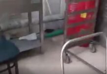 Θεσσαλονίκη: Αρουραίος κυκλοφορεί στην κουζίνα του ΑΠΘ, βίντεο