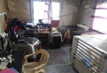 Εικόνες απο τα 16 σκυλάκια που ζούσαν στο διαμέρισμα ¨κολαστήριο¨ – Η ανακοίνωση της ΕΛ.ΑΣ.