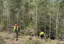 Σε εξέλιξη εργασίες καθαρισμού 60 δασικών περιοχών σε όλη τη χώρα