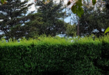 Έρευνα-σοκ: Το νερό της βροχής περιέχει «παντοτινά χημικά» που υπερβαίνουν τα επίπεδα ασφαλείας