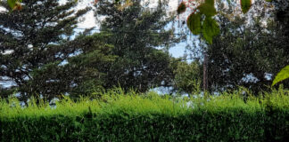Έρευνα-σοκ: Το νερό της βροχής περιέχει «παντοτινά χημικά» που υπερβαίνουν τα επίπεδα ασφαλείας