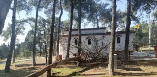 Πτώση δέντρου στο Ωραιόκαστρο απο τους ισχυρούς ανέμους
