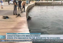 Θεσσαλονίκη: Επεισοδιακή σύλληψη άνδρα – Έπεσε στον Θερμαϊκό με τις χειροπέδες (εικόνες)