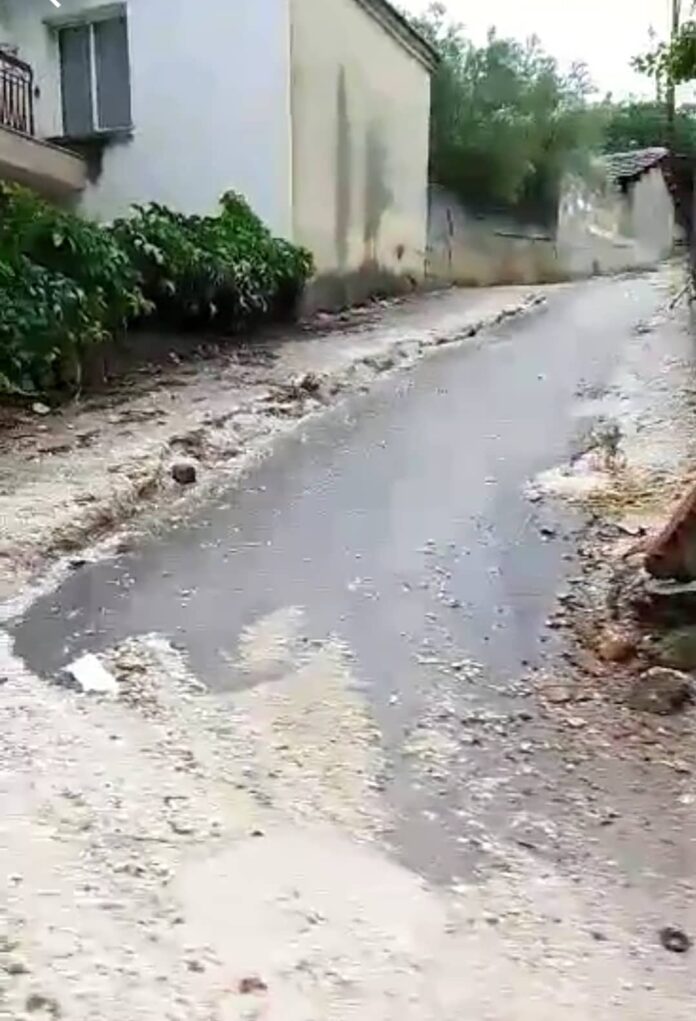 Δρυμος