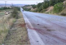 Κιλκίς: Δύο νεκροί και τέσσερις τραυματίες σε τριπλό τροχαίο με αγριογούρουνα,βίντεο