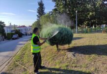 Επίγειοι ψεκασμοί για κουνούπια την Τετάρτη στη Λητή – Οδηγίες για τους πολίτες