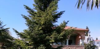 Μια ιστορική βίλα με μεγαλοπρεπή κήπο πωλείται στο Ωραιόκαστρο