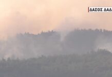 Απειλείται το δάσος της Δαδιάς και το ομώνυμο χωριό – Τρίτη ημέρα μάχης με τις φλόγες